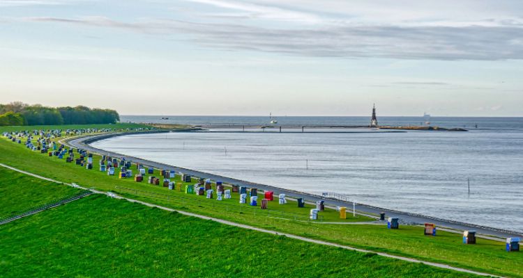 deichkrone wandern in cuxhaven mit hund, blick auf den deich mit kugelbacke im hintergrund